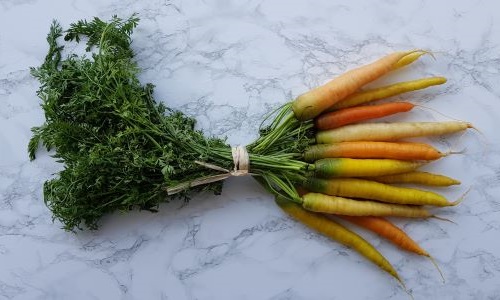 botte carottes anciennes